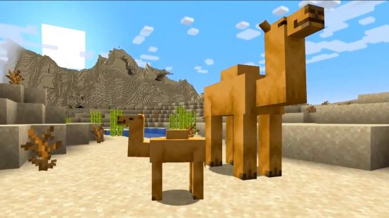 Camellos de Minecraft en el desierto: un camello bebé y un camello adulto.